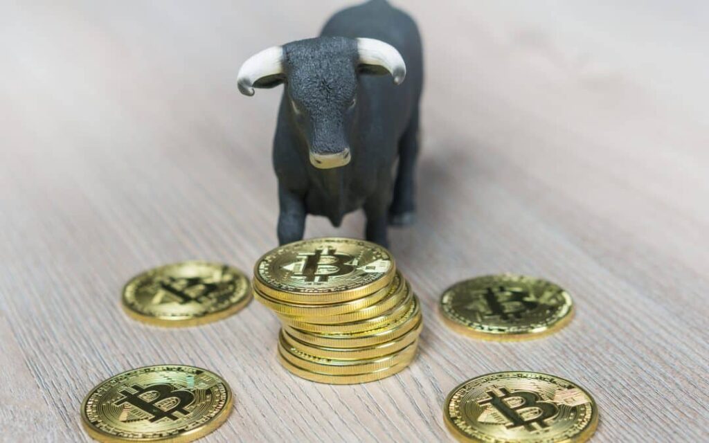Bull Market In Cryptocurrency